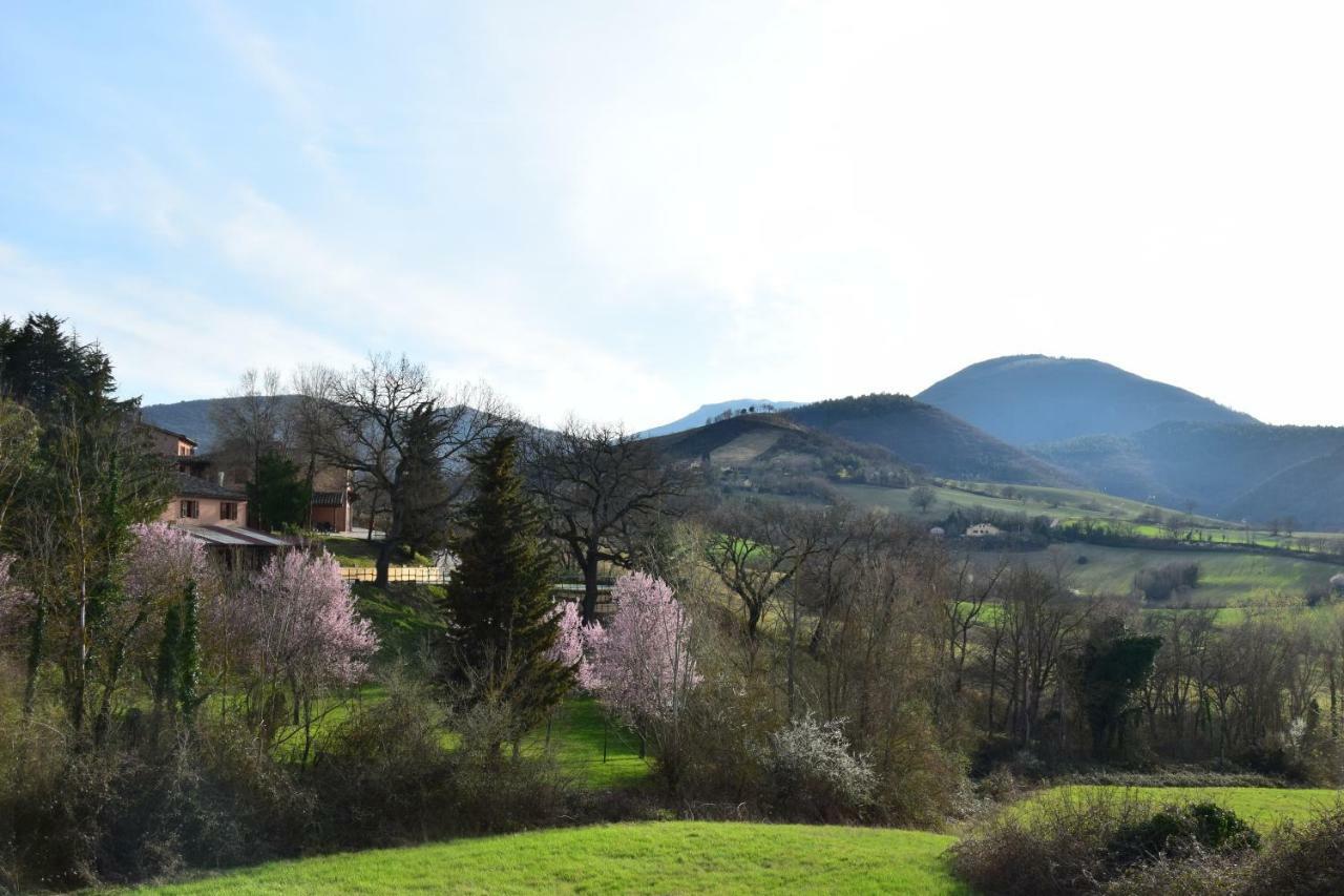 Agriturismo Gioie Di Campagna Fabriano Ngoại thất bức ảnh